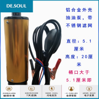 抽油泵柴油12V24伏电动小型自吸油泵加油抽油机器油抽子抽水泵 12V泵+10米钢丝管 (5米线)