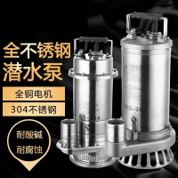 潜水泵抽粪泥浆污水泵家用220V耐腐蚀高扬程小型抽水机 750W2寸304不锈钢材质污水泵