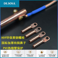 铜包钢接地棒家用防雷避雷接地极接地桩避雷针接地线镀铜接地 套餐16（ 工厂接地）