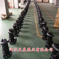 泉泵业65WQ35-20-4污水排污泵排污潜水泵抽水泥浆泵提升泵抖音