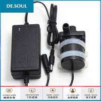 小抽水机12v12伏抽水泵小型无刷电机潜水泵直流抽酒水路两用水泵 12V水泵+电瓶夹