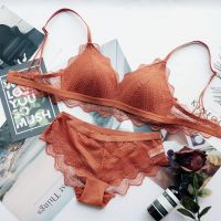 波迷娜(BOMINA)性感蕾丝文胸套装女欧美无痕无钢圈薄款模杯镂空小胸少女内衣