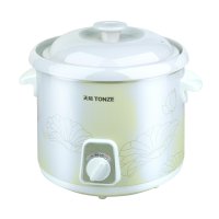 天际电炖锅 DDG-20N