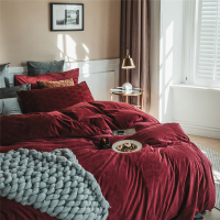 北欧 无荧光 秋冬加厚保暖床上四件套丹麦绒系列珊瑚绒升级款