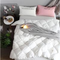 冬天水洗棉被子冬被加厚保暖双人8斤棉被芯单人学生宿舍太空被芯