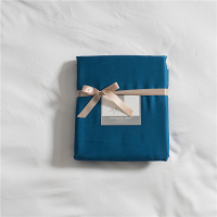 北欧 单被套 阿意系列色双面60支天丝莱赛尔纤维素色飘逸灵