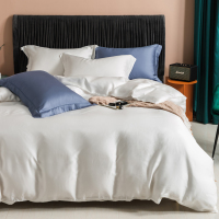 轻奢60支兰精天丝四件套 清凉感莱赛尔床上用品简约色白色