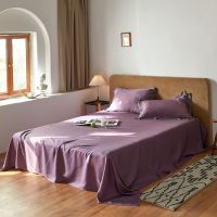 春夏凉感60支兰精天丝床单单件床笠枕套轻奢简约风色1.51.8