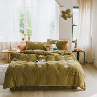 秋冬加厚婴儿绒四件套宝宝绒公主风保暖法莱绒床上用品四叶套件