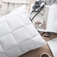 北欧 立体边鹅毛枕头 羽绒枕 羽毛绒 枕芯枕头单人 一只装