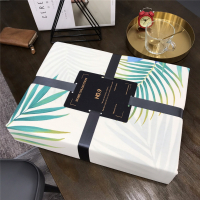 北欧经济四季款40s精梳棉四件套床上4件套活性印花被套