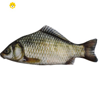 喻娄抖音同款仿生鱼笔袋韩国创意鲜活海鱼个性鲫鱼学生文具袋咸鱼笔包