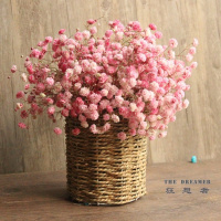 [买一送一]勿忘我满天星干花花束真花装饰花客厅家居摆件鲜花