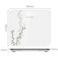 智能人体秤usb可充电电子称体重秤迷你家用精准成人女减肥称重计