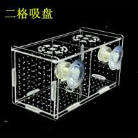 族箱亚克力鱼缸隔离盒孵化盒繁殖盒隔离箱小鱼苗隔离盒吸盘款