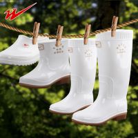 男女中高低筒防滑防白色食品雨鞋卫生雨靴食堂胶鞋工作可加棉套