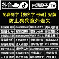 狗链子项圈狗狗胸背带狗绳狗背心式金毛中型大型犬牵引绳宠物用品