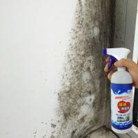 [兰康保科技]除霉剂墙体墙面白墙屋顶去霉菌斑防霉多功能清洁剂