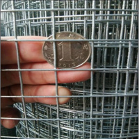 星源热镀锌铁丝电焊阳台防护围栏多肉防鼠蛇鸽棚