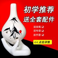六孔陶笛6孔中音cAC初学入送教材全套配件初学者学生成人乐器
