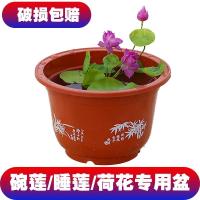 加厚塑料花盆碗莲睡莲荷花专用塑料花盆无孔不漏莲花培花盆