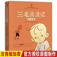 正版 三毛流浪记 全集 注音版书籍 南方出版社 中国经典动画大全