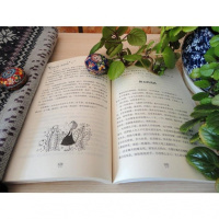 正版书籍风会记得一朵花的香+暗香+暖爱+遇见 丁立梅散文自选集