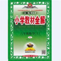 2018新版薛金星教材全解六年级上+下册人教版语文数学英语3本