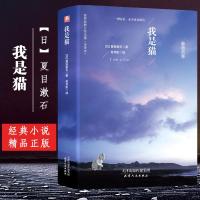 我是猫正版书免邮全译本青少中学生成人课外阅读读物书籍