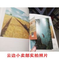 张嘉佳的书 云边有个小卖部 全世界路过 让我留在你身边 励志小说