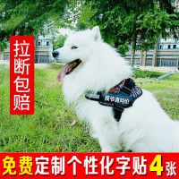 狗狗牵引绳金毛遛狗绳中大型犬胸背带拉布拉多项圈狗链子宠物用品