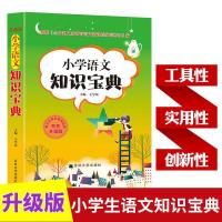 362页 小学语文知识宝典小学语文知识集锦语文基础知识手册