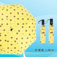 全自动晴雨两用太阳伞防紫外线雨伞 折叠伞布朗熊黑胶遮阳伞女