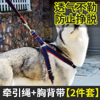 狗狗牵引绳带牛仔宠物胸背带狗链小中大型犬遛狗绳子泰迪金毛背带