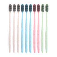 [40支新款小麦秸秆牙刷]细毛成人 软毛牙刷 家庭装