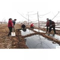 【邮】地膜 塑料薄膜农用地膜种地种菜种莓白色地膜黑色地膜