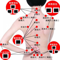 特价100片装 姜贴原始点生姜贴驱护膝驱寒颈椎关节贴腰酸背痛贴