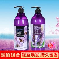 香持久留香沐浴露男女沐浴家庭装洗去屑止痒洗膏套装