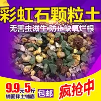 多肉植物营养土泥炭土多肉土叶插换盆土多肉专用土颗粒铺面麦饭石