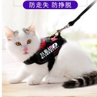 猫咪用品牵引绳防挣脱专用溜猫绳栓猫遛猫背心式项圈小猫绳子猫链
