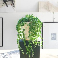 多肉植物[佛珠+情人泪+2个盆+专用肥]花卉盆栽绿植珍珠兰