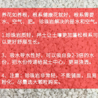 [20升珍珠岩]颗粒土花卉基质土 花土 多肉土营养土泥炭货快