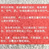 [20升珍珠岩]颗粒土花卉基质土 花土 多肉土营养土泥炭货快