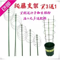 [买3送1]爬藤架花架园艺支架植物攀爬架室内外月季铁线莲花架
