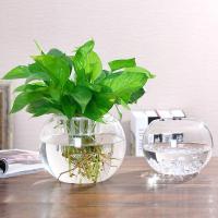 透明玻璃花瓶培绿萝花盆客厅室内鱼缸圆形养器皿