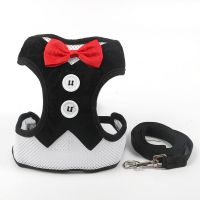 猫咪用品猫咪牵引绳遛猫绳子神器胸背带防挣脱背心式栓猫绳猫链子