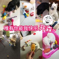 【10件套装】狗狗玩具耐咬磨牙球飞盘毛绒声泰迪猫训练宠物用品