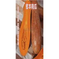 蔬菜瓜果高产量耐贮运超甜密蜜本南瓜种子 易种蔬果春季