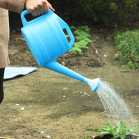 塑料大洒壶浇花壶淋壶家用浇花喷壶长嘴园艺喷壶小花洒邮