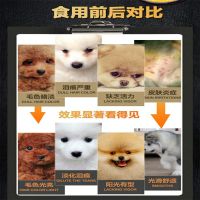 通用狗粮泰迪比熊贵宾柯基中小型幼犬成犬牛肉粒肉松狗粮5斤10斤